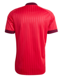 Lyon 26/27 Away Jersey - Fan version